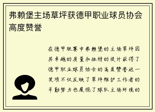 弗赖堡主场草坪获德甲职业球员协会高度赞誉